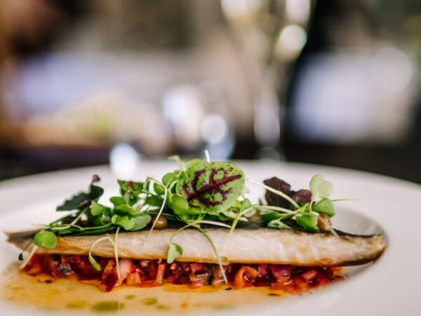 CotswoldHouseHotelMenushootJan2025-57