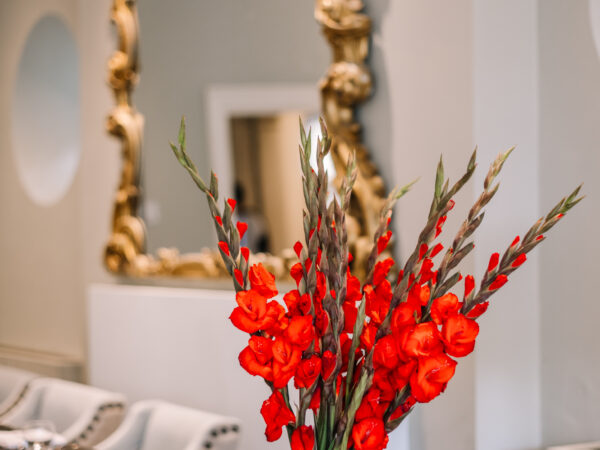 Hotelphotos-47